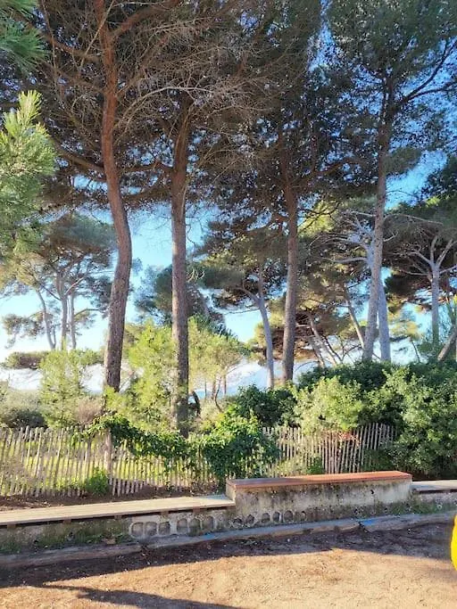 Charmant Studio Entre Mer Et Foret Saint-Mandrier-sur-Mer 0*,  France