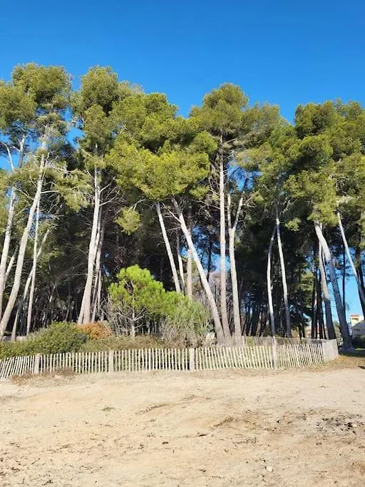 Apartment Charmant Studio Entre Mer Et Foret Saint-Mandrier-sur-Mer
