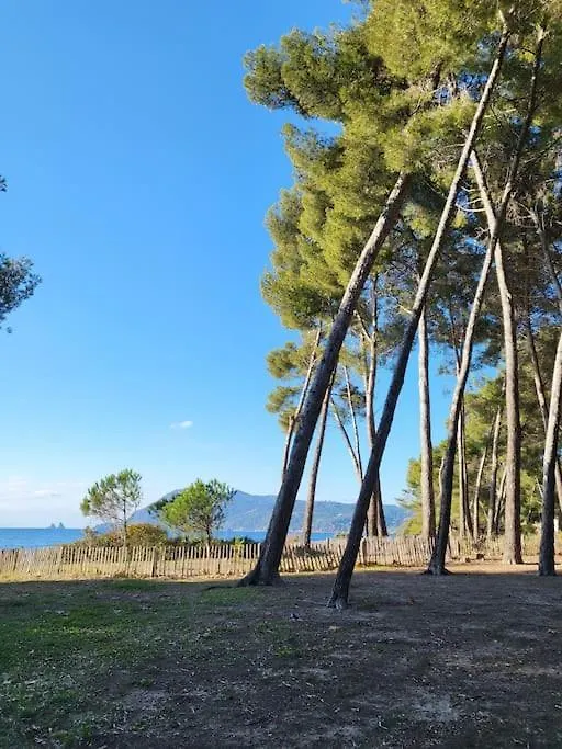 Charmant Studio Entre Mer Et Foret Saint-Mandrier-sur-Mer 0*,